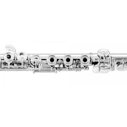 FLAUTA MIYAZAWA MJ101-STREB