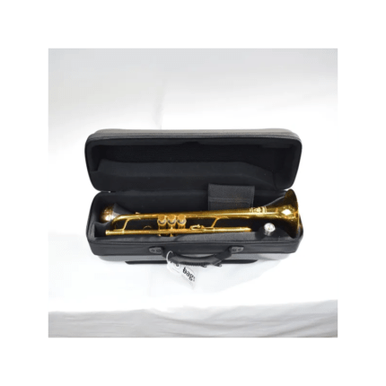 ESTUCHE BAGS TROMPETA EVOLUTION EV-3 / INNO