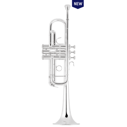 TROMPETA DO BACH C190SL229 TUDEL 25M PLATEADA