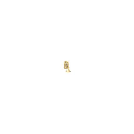TUBA B&S PT6 3098-1-OGB PERANTUCCI