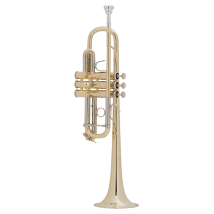 TROMPETA BACH DO C180L TUDEL 25A-25H-25R-25S-7R CAMPANA 229 LACADA