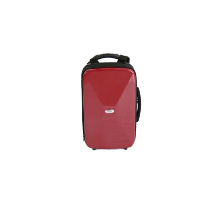 ESTUCHE BAGS 2 CLARINETES EVOLUTION EV-1 / METALIC