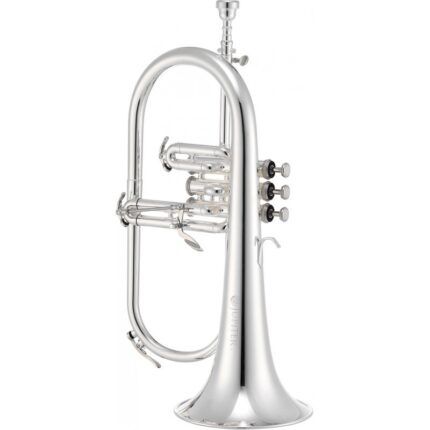 FLISCORNO PISTONES JUPITER JFH1100RS