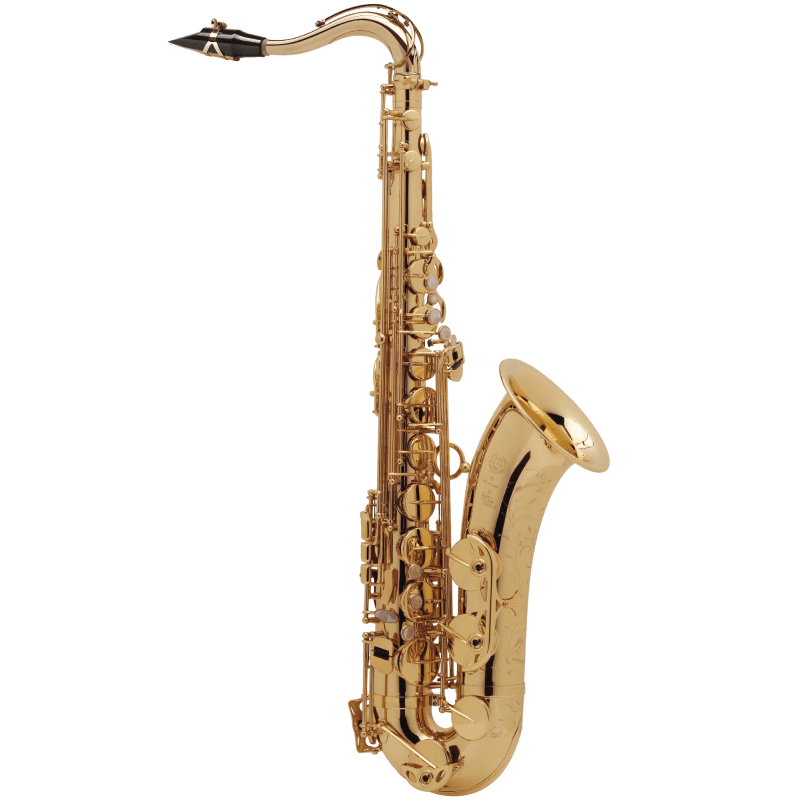 saxo-tenor-selmer-jubile-sii SAXO TENOR SELMER SUPER ACTION 80 SERIE II GG LACADO