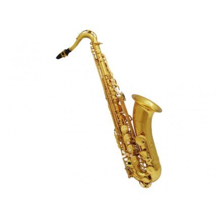 SAXOFÓN TENOR PAUL MILLET PM210-SX