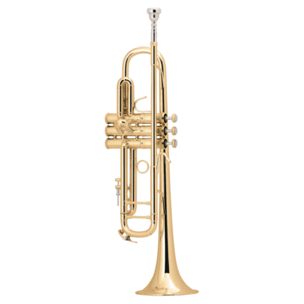 TROMPETA BACH SIb LT180ML TUDEL NO ESTÁNDAR GOLDMESSING