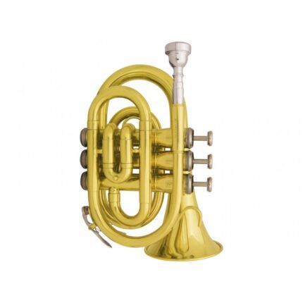 TROMPETA SIb PAUL MILLET PM330-TR