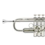 trompeta sib apollo