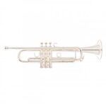 Trompeta Bach Apollo 170S43GYR plateada