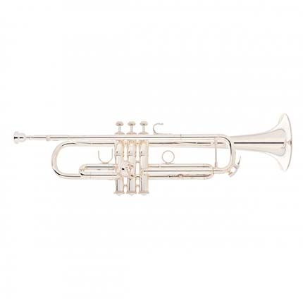 Trompeta Bach Apollo 170S43GYR plateada