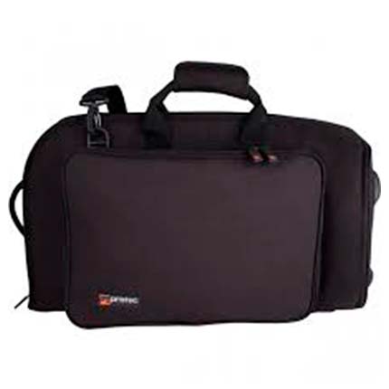 estuche fliscornio