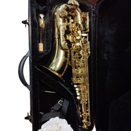 Saxo tenor Roy benson